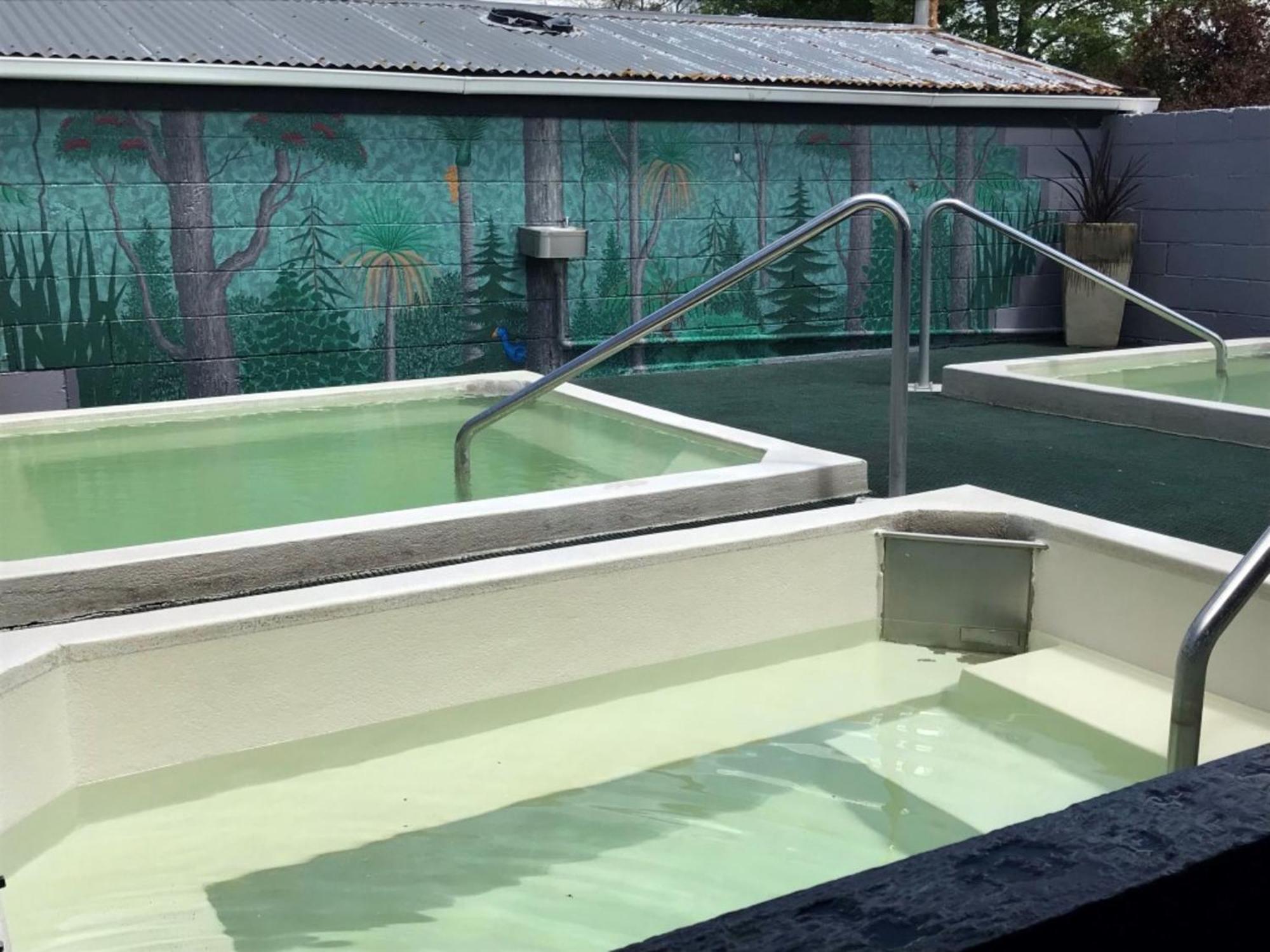 Rotorua Thermal Holiday Park Dış mekan fotoğraf